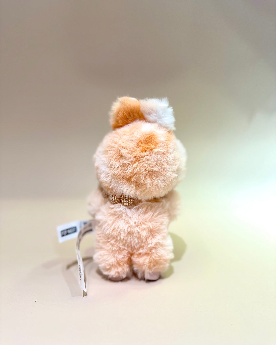 Small plush bear with a tag on a light background
