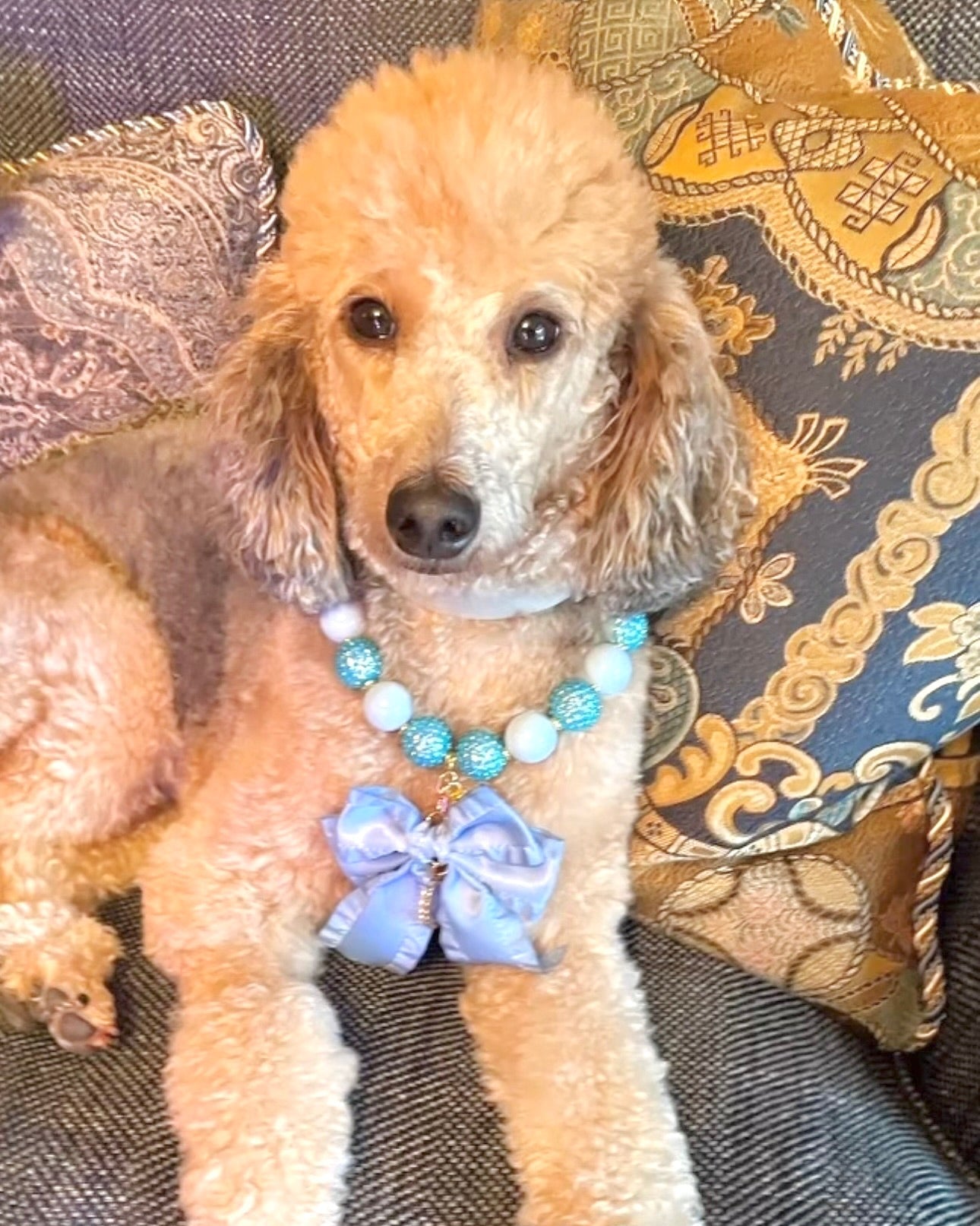 A fashionable dog wearing a luxury Haus Royale pearl necklace—handmade, pet-safe jewelry for dogs, perfect for weddings, parties, or stylish everyday wear. Elegant dog accessories from a small pet fashion brand.