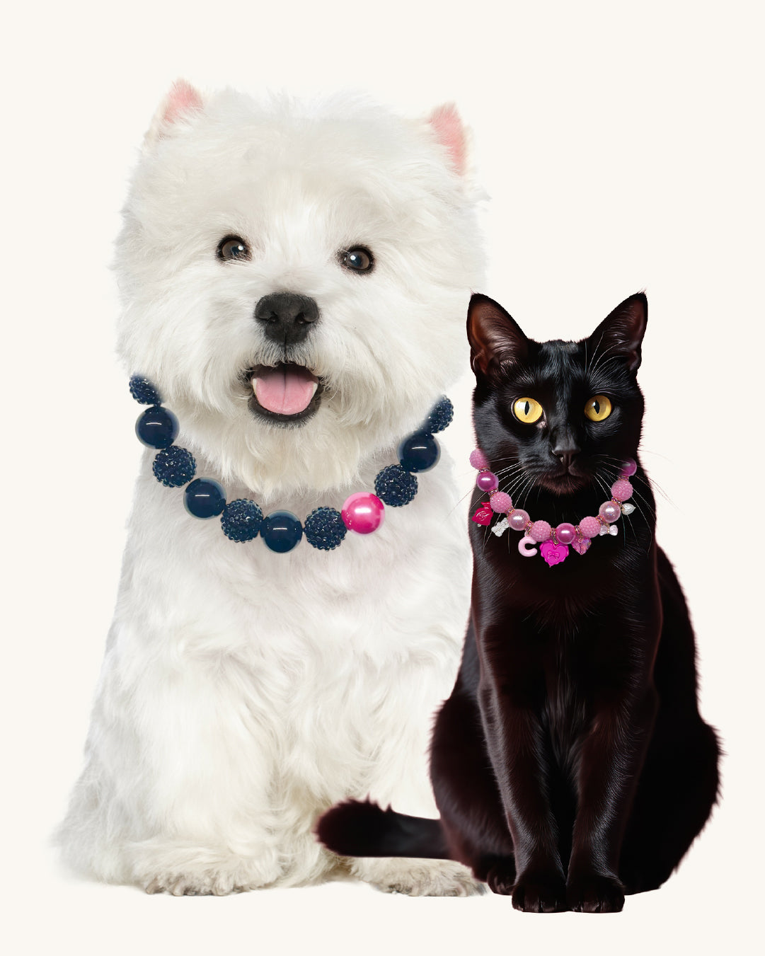 White dog and black cat wearing decorative collars on a white background