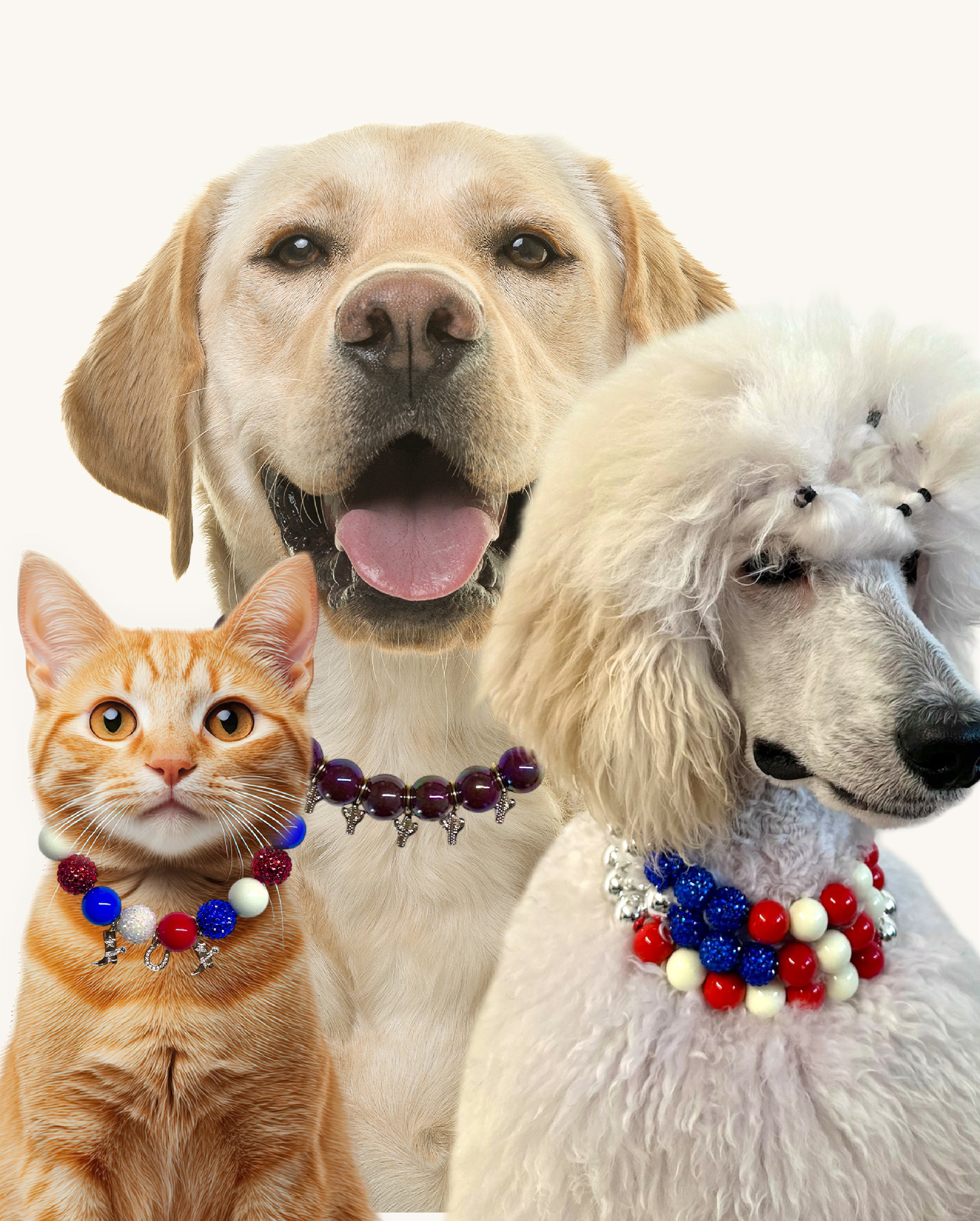 dogs and cats wearing pet-safe luxury beaded necklaces.